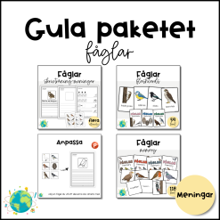Gula paketet – Fåglar
