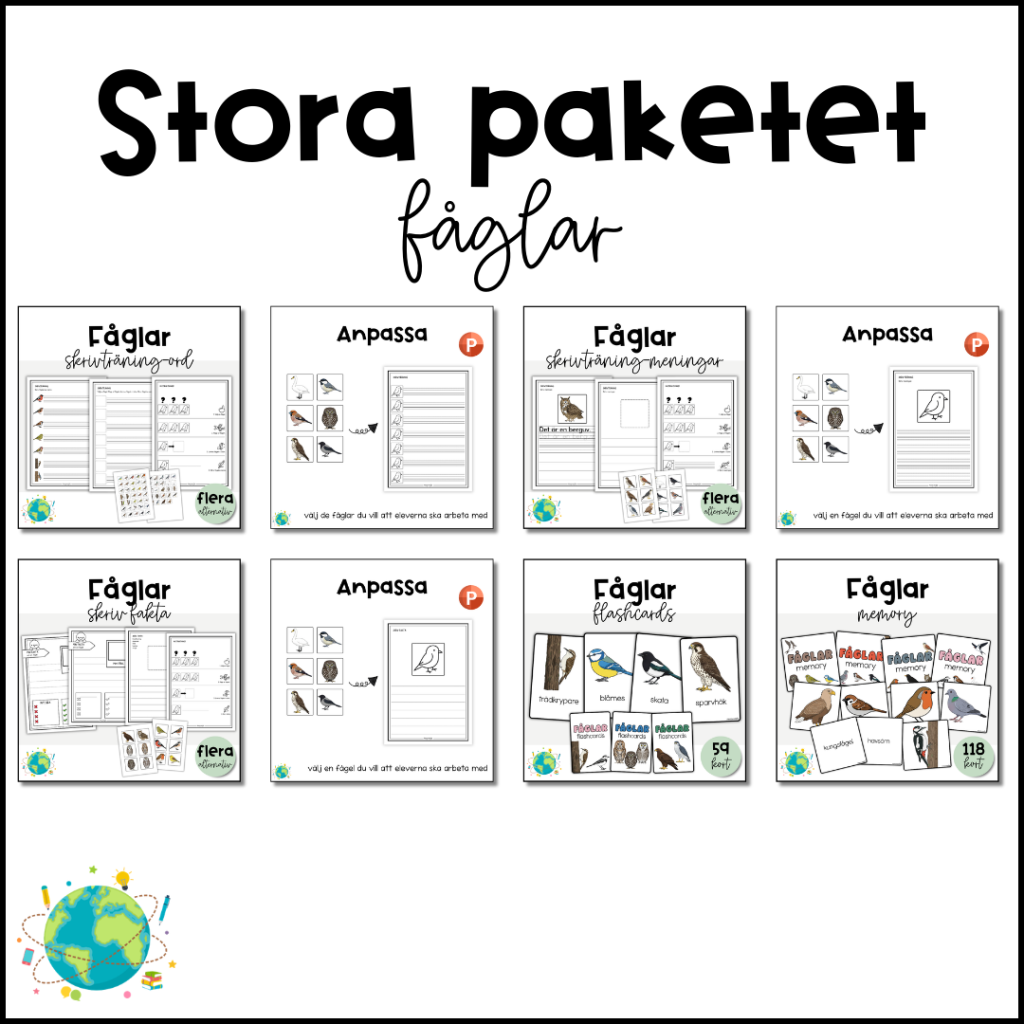 Stora paketet – Fåglar
