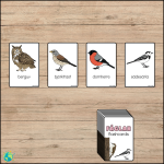 Fåglar – Flashcards - bild 3