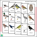 Röda paketet – Fåglar - bild 3