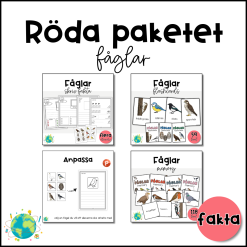 Röda paketet – Fåglar