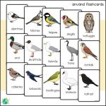 Gula paketet – Fåglar - bild 7