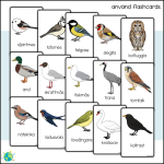 Blåa paketet – Fåglar - bild 5