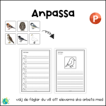 Stora paketet – Fåglar - bild 11