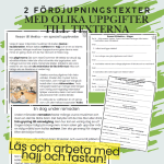 Extrauppgifter och fördjupningsuppgifter om islam - bild 4