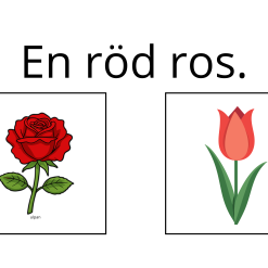 Avkodningsmaterial - läsbilder