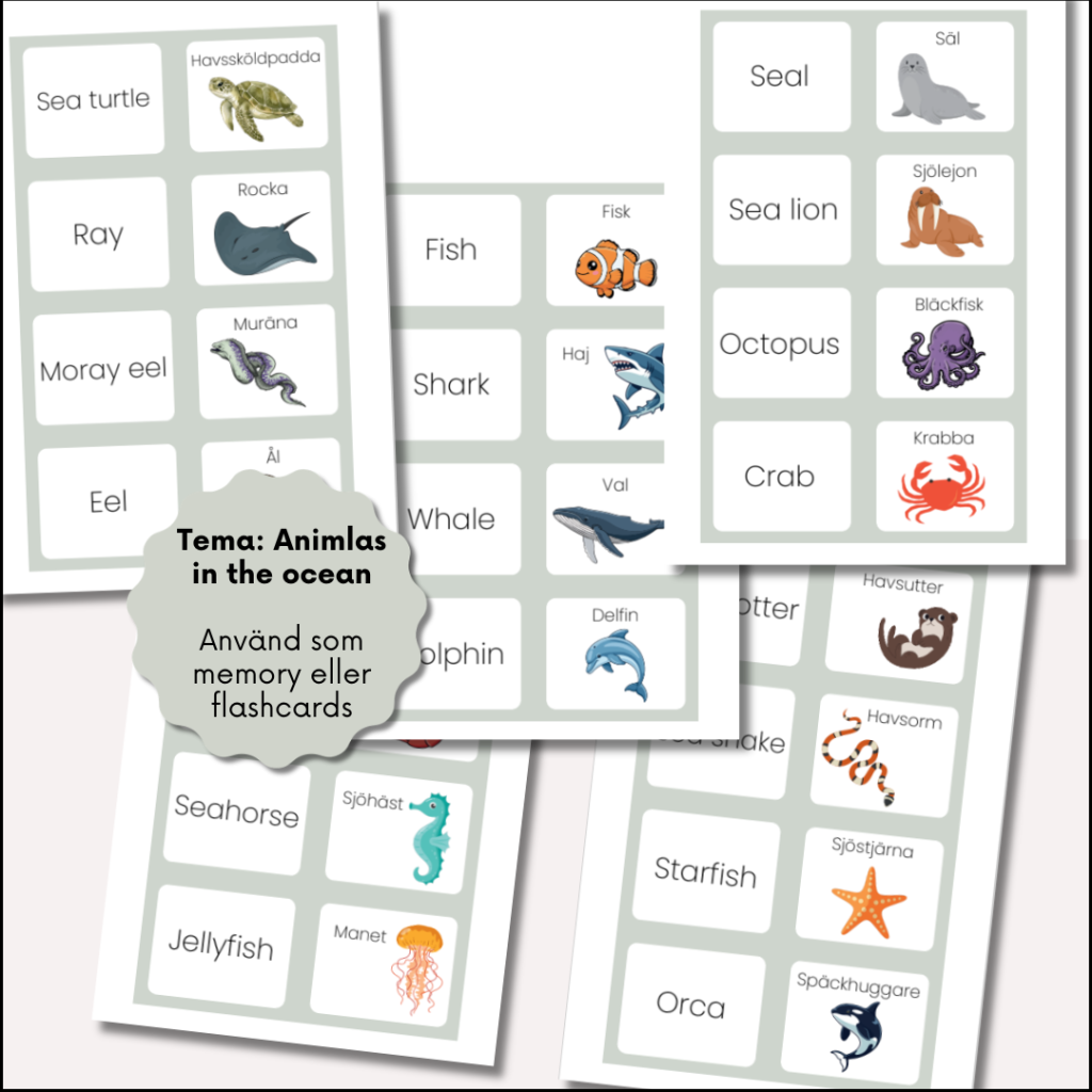 Animals in the ocean (memory/flashcards)