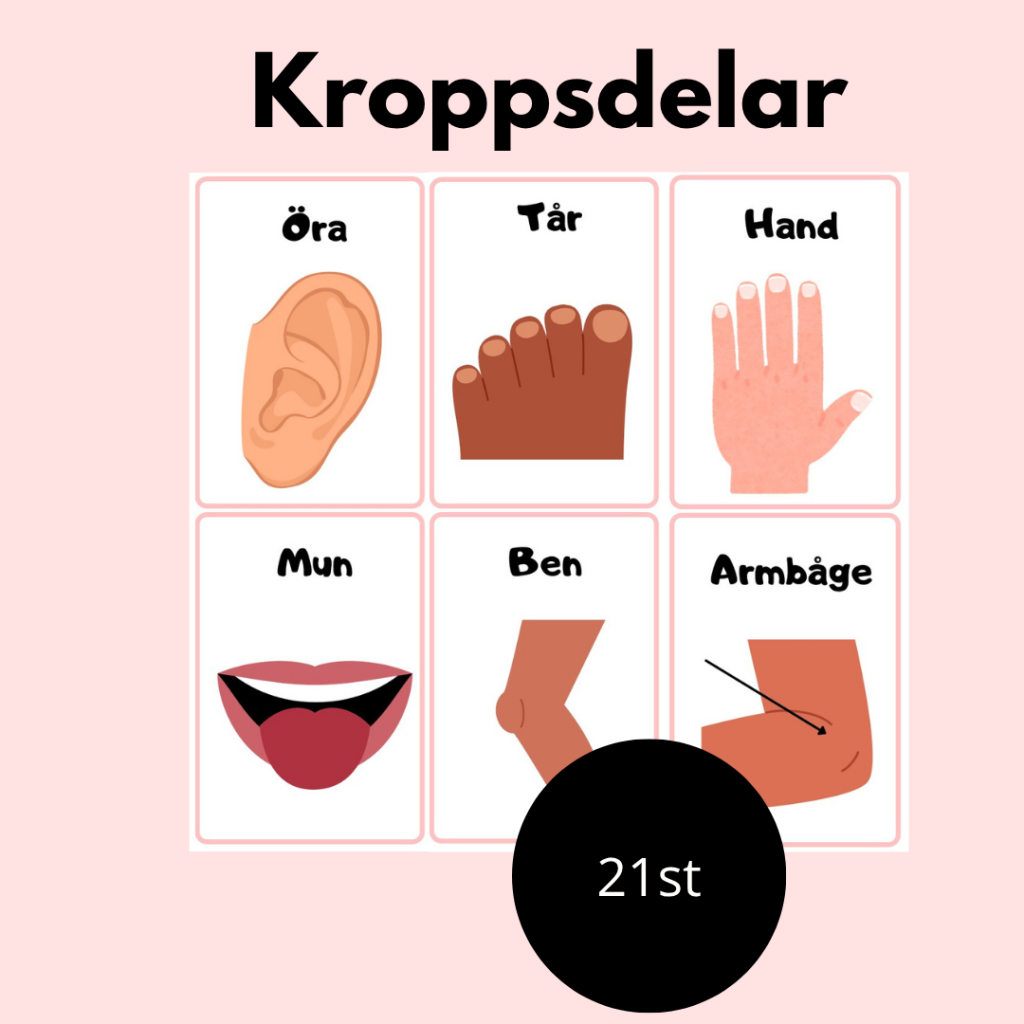 Kroppsdelar begreppskort