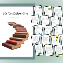 Läsförståelse: häfte med 20 texter (blandade texttyper) och tillhörande frågor.