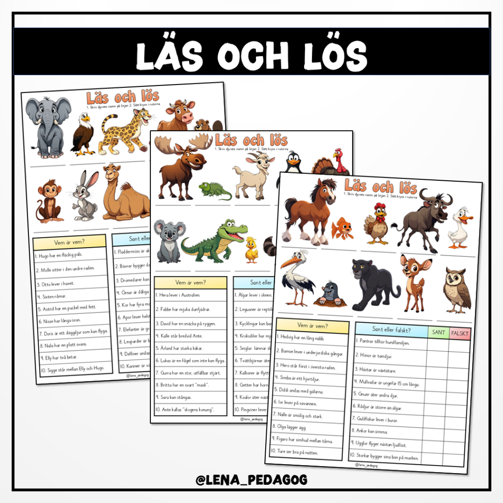 Läs och lös