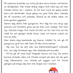 Läsförståelsehäfte - bild 2