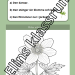 Fakta om vitsippan - bild 1