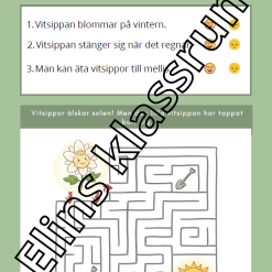 Fakta om vitsippan