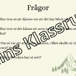 Vår – Djur som vaknar - bild 2