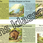 Vår – Djur som vaknar - bild 1