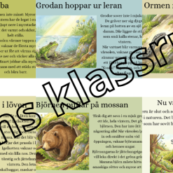 Vår - Djur som vaknar