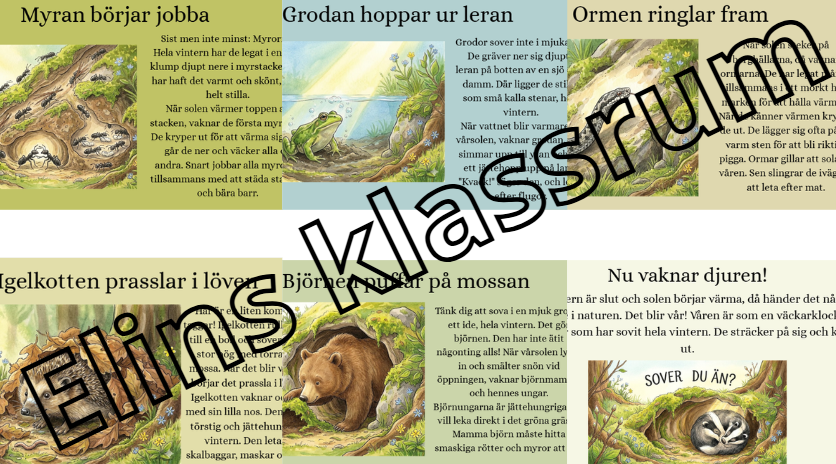 Vår – Djur som vaknar