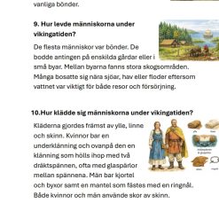 Instuderingsfrågor Vikingatiden åk 4 (med bildstöd)