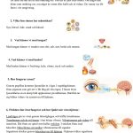 Instuderingshäfte NO – Våra sinnen - bild 2