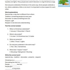 Läsförståelse engelska