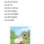 Läsförståelse (3 nivåer) – Kaninen Leo - bild 1