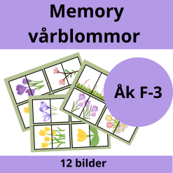 Memory: Vårblommor