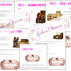 Stallmyseriet - rosetten som försvann: Ett läsförståelsemysterium