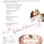 Stallmyseriet – rosetten som försvann: Ett läsförståelsemysterium - bild 4