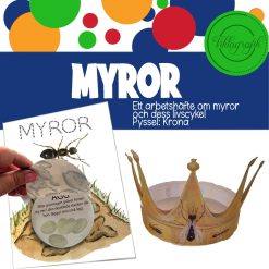 Myror – livscykel, anatomi och pyssel
