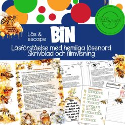 BIN del 2 – Läs & escape - Läsförståelse med 2 kodade lösenord samt skrivblad
