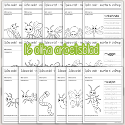Insekter och småkryp - Spåra ord - 16 arbetsblad med olika ord