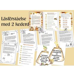 BIN del 2 – Läs & escape - Läsförståelse med 2 kodade lösenord samt skrivblad