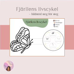 Fjärilens livscykel