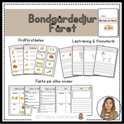 Bondgårdsdjur - FÅR