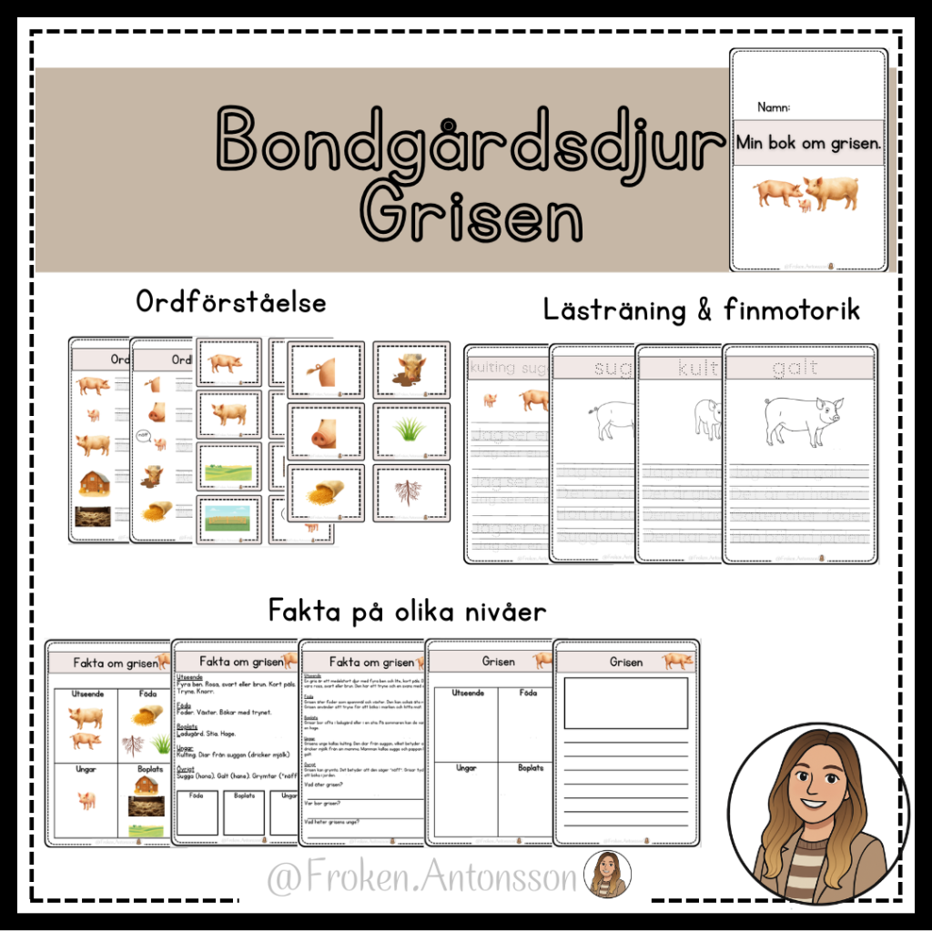 Bondgårdsdjur – GRISEN