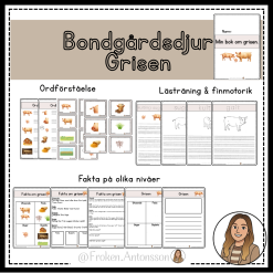 Bondgårdsdjur - GRISEN