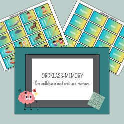 Memory ordklasser