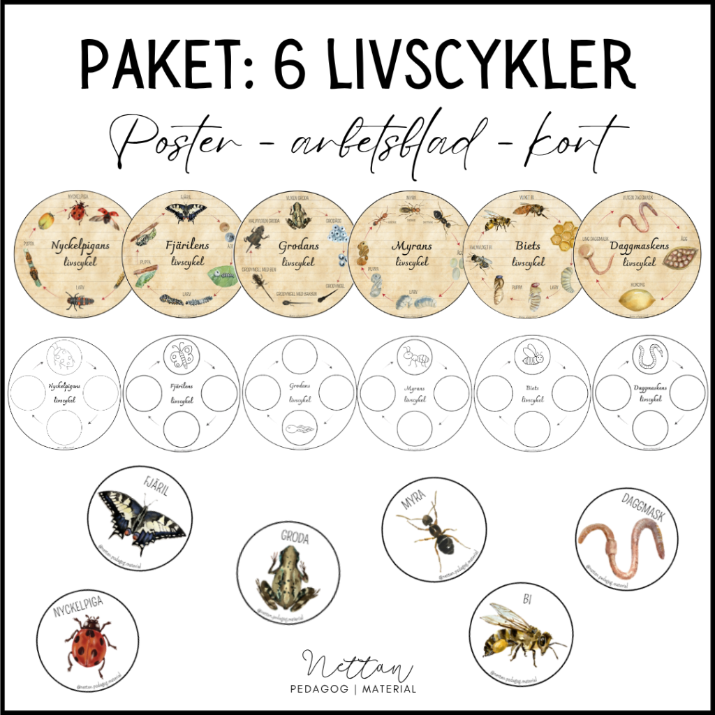 PAKET: 6 livscykler