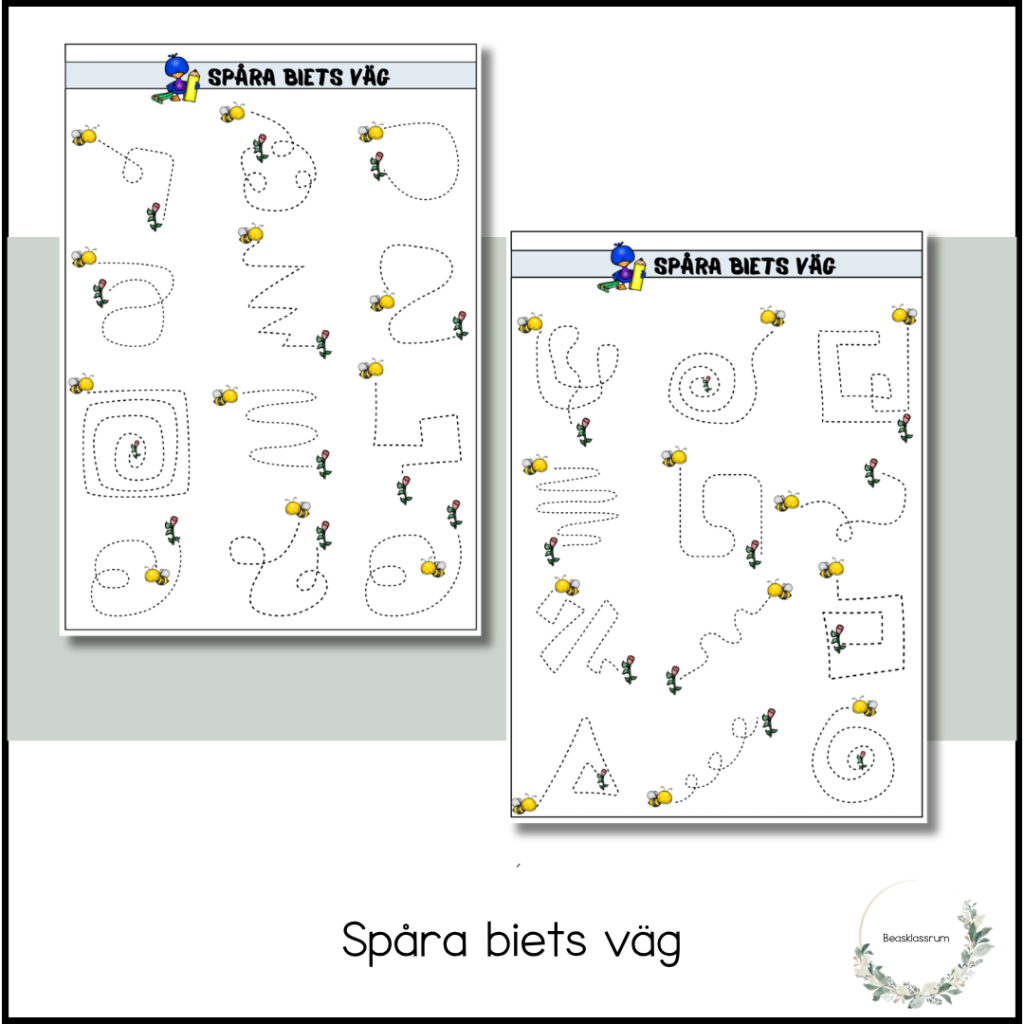 Spåra biets väg