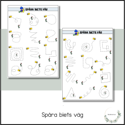 Spåra biets väg