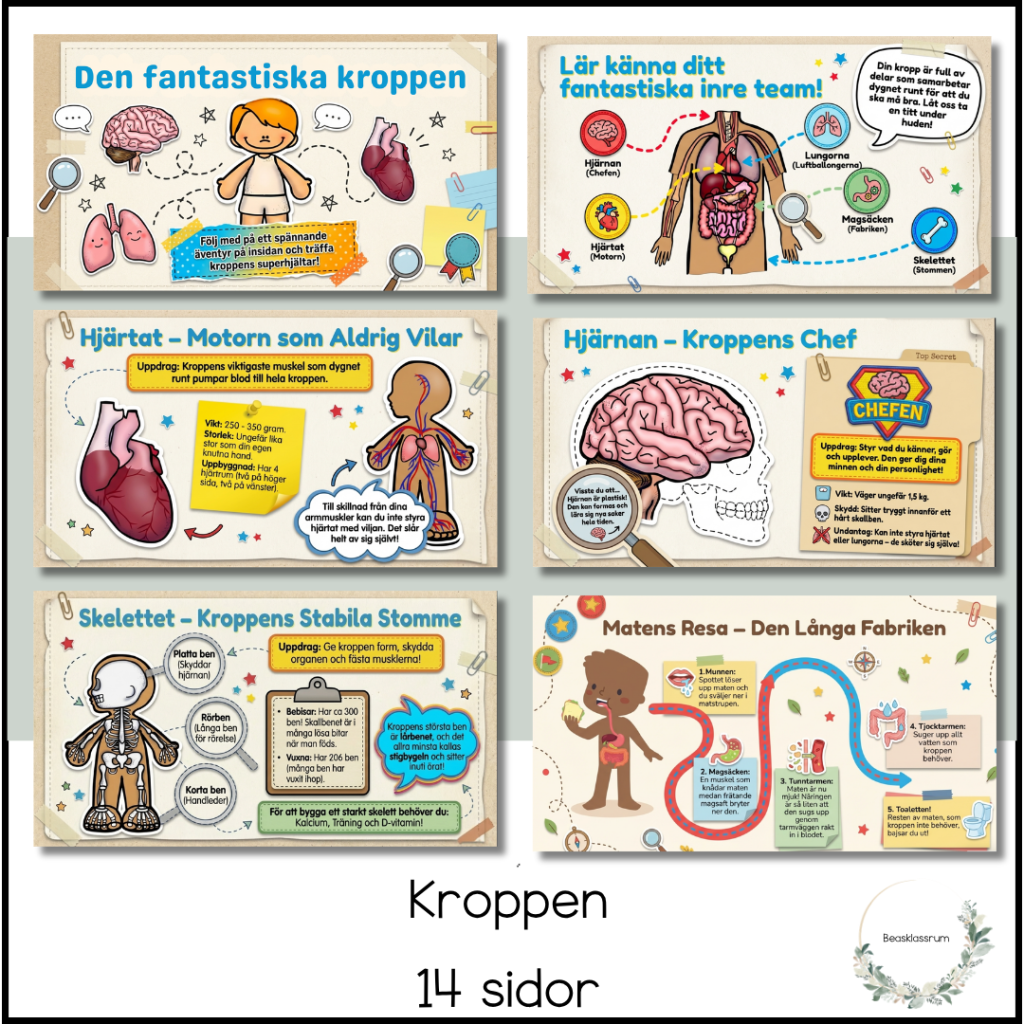 Kroppen