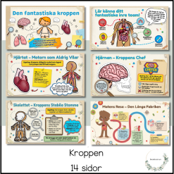 Kroppen