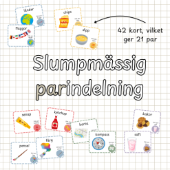 Slumpmässig parindelning