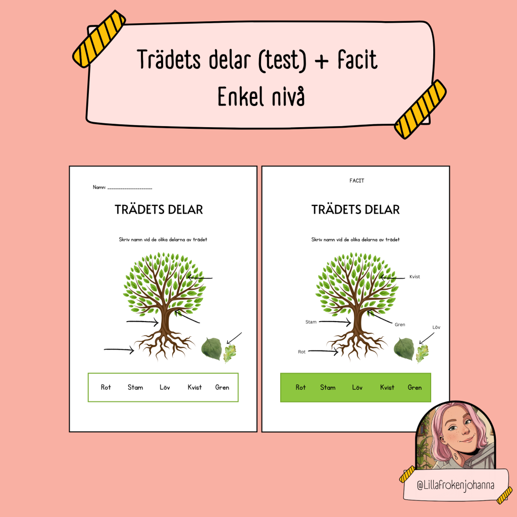 Trädets delar – test + facit