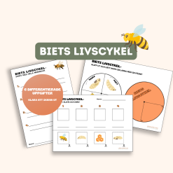 Biets livscykel