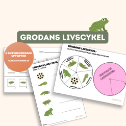 Grodans livscykel