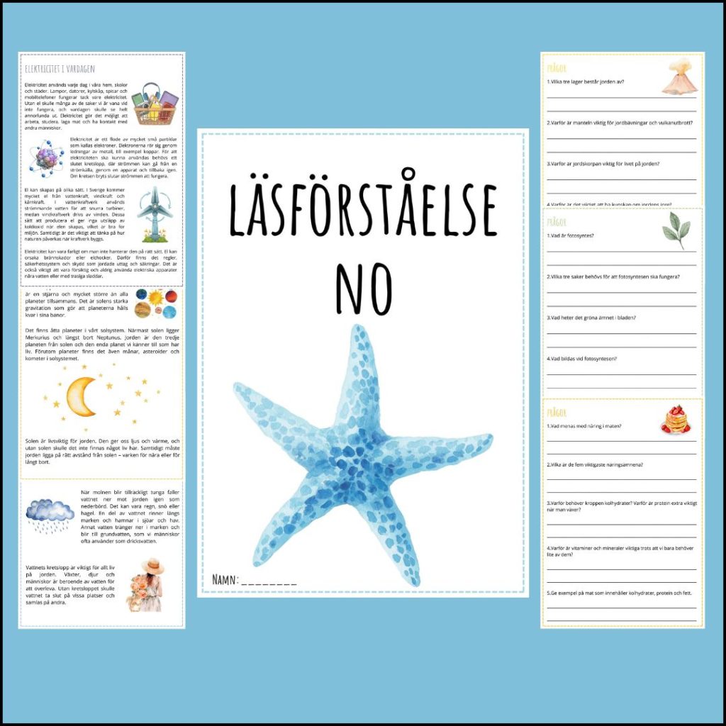 Läsförståelse NO