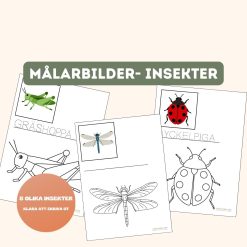 Målarbilder- insekter