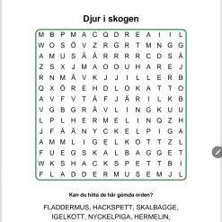 Ordgömma djur i skogen