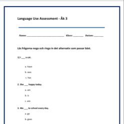 Kartläggning åk 3 Engelska - Language use Assessment (Grammar) Del D